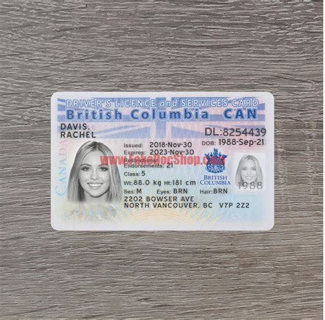 On this PSD Template, you can put any Name, DOB, Address, License No. . Bc drivers license template